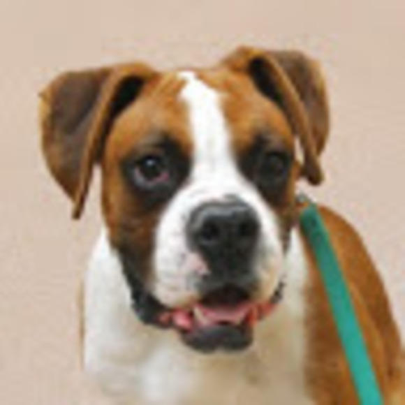 Meet the Posher Other - Meet your Posher, Eric